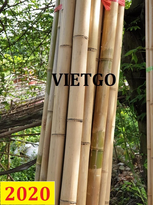 Cơ hội giao thương – Đơn hàng Cả Năm - Cơ hội xuất khẩu Gậy tre cho doanh nhân người Tanzania