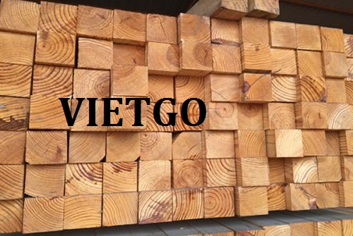 Cơ hội giao thương - Đơn hàng thường xuyên - Cơ hội xuất khẩu thử 1 container 20ft gỗ thông xẻ sang Trung Quốc