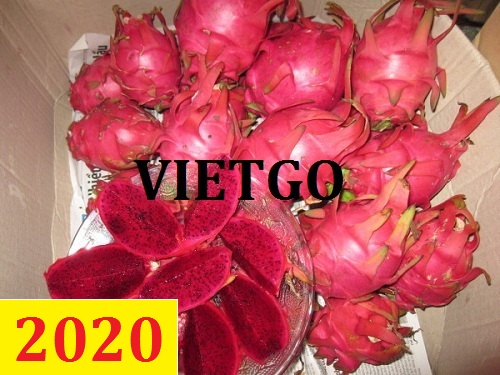 Cơ hội giao thương – Đơn hàng thường xuyên – Cơ hội xuất khẩu thanh long ruột đỏ sang thị trường Ấn Độ.