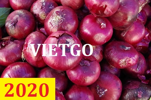 Cơ hội giao thương – Đơn hàng thường xuyên – Cơ hội xuất khẩu hành tím sang thị trường Ấn Độ.