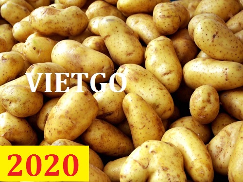 Cơ hội giao thương – Đơn hàng thường xuyên – Cơ hội xuất khẩu khoai tây sang thị trường Ấn Độ.