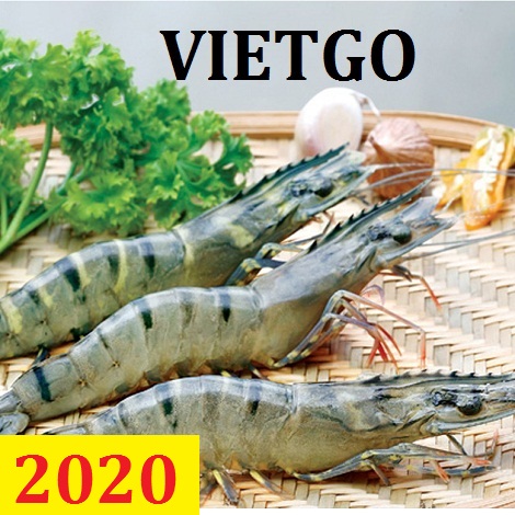 Cơ hội giao thương – Đơn hàng Cả Năm: Cơ hội xuất khẩu Tôm thẻ chân trắng và Tôm sú sang thị trường Trung Quốc