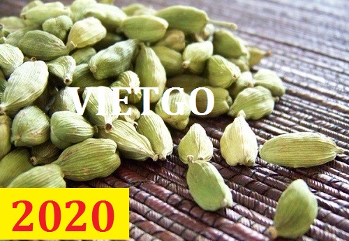 Cơ hội giao thương – Đơn hàng Thường Xuyên - Cơ hội xuất khẩu Thảo Quả sang thị trường Ấn Độ