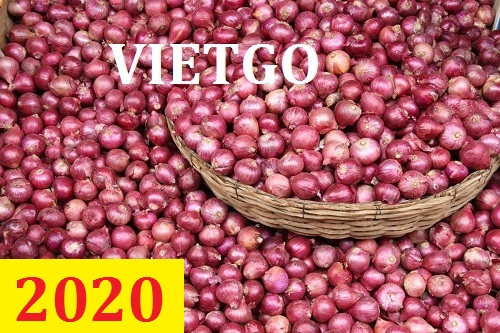 Cơ hội giao thương – Đơn hàng thường xuyên – Cơ hội xuất khẩu hành tím sang thị trường Ấn Độ.