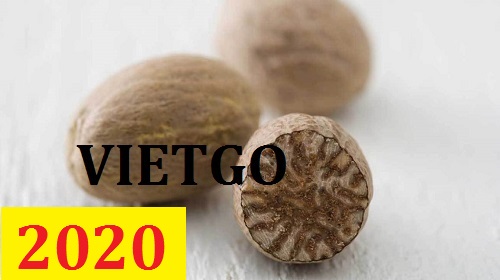 Cơ hội giao thương – Đơn hàng thường xuyên – Cơ hội xuất khẩu hạt nhục đậu khấu sang thị trường Ấn Độ.
