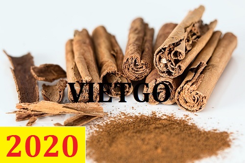 Cơ hội giao thương – Đơn hàng Cả Năm - Cơ hội xuất khẩu Quế sang thị trường Ấn Độ