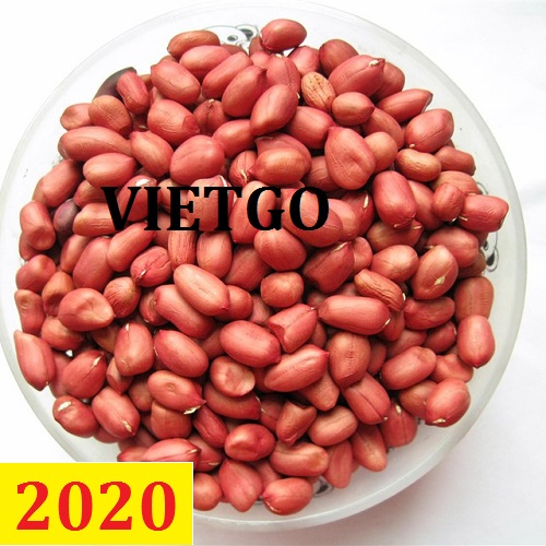 Cơ hội giao thương – Đơn hàng Thường Xuyên - Cơ hội xuất khẩu Lạc Nhân sang thị trường Chile