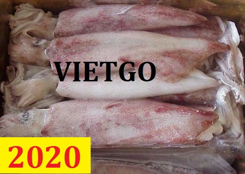 Cơ hội giao thương – Đơn hàng Thường Xuyên – Cơ hội xuất khẩu Mực đông lạnh cho thương nhân người Ả Rập
