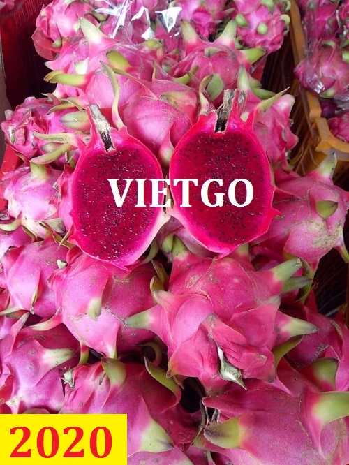 Cơ hội giao thương – Đơn hàng thường xuyên – Cơ hội xuất khẩu thanh long sang thị trường Ấn Độ.