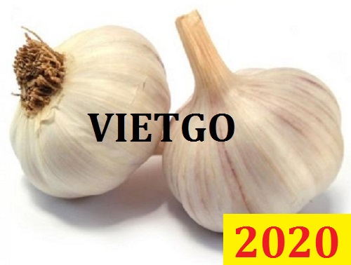 (Gấp) Cơ hội giao thương Đặc Biệt  – Đơn hàng Cả Năm - Cơ hội xuất khẩu Tỏi trắng sang thị trường Sri Lanka