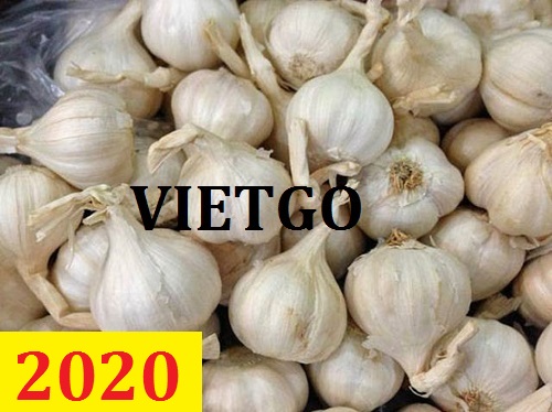 Cơ hội giao thương – Đơn hàng thường xuyên – Cơ hội xuất khẩu tỏi sang thị trường Bahrain.
