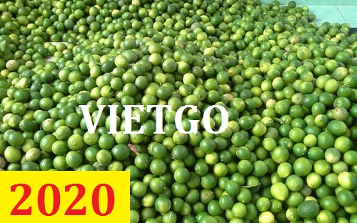 Cơ hội giao thương – Đơn hàng thường xuyên – Cơ hội xuất khẩu chanh xanh sang thị trường Bharain.