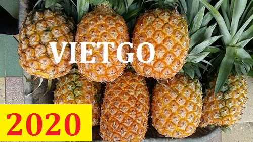 Cơ hội giao thương – Đơn hàng thường xuyên – Cơ hội xuất khẩu quả dứa sang thị trường Bahrain.