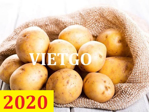 Cơ hội giao thương – Đơn hàng Cả Năm - Cơ hội xuất khẩu Khoai Tây sang thị trường Ai Cập