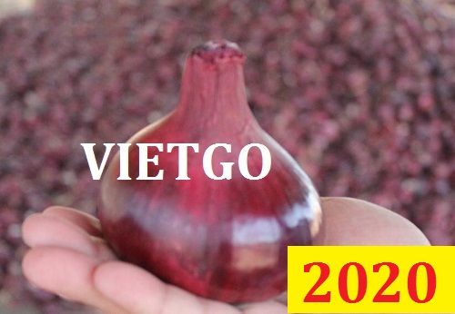 Cơ hội giao thương Đặc Biệt  – Đơn hàng Thường Xuyên  - Cơ hội xuất khẩu hành tím sang thị trường Dubai.
