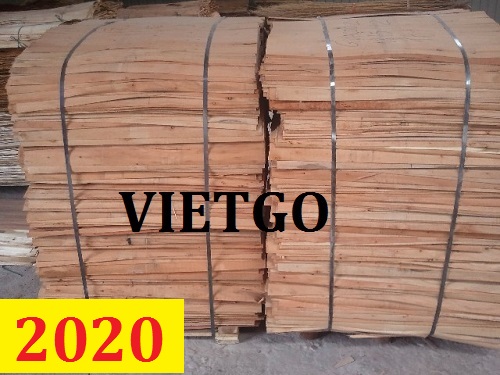 Cơ hội giao thương – Đơn hàng thường xuyên - Cơ hội xuất khẩu Ván bóc bạch đàn sang Trung Quốc