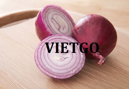 Cơ hội giao thương – Cơ hội xuất khẩu hành tím sang thị trường Ấn Độ.