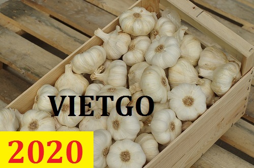 Cơ hội giao thương – Đơn hàng thường xuyên – Cơ hội xuất khẩu tỏi trắng sang thị trường Sri Lanka.
