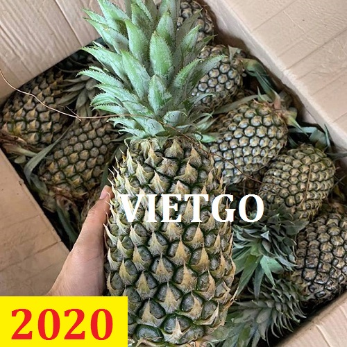 Cơ hội giao thương – Đơn hàng thường xuyên – Cơ hội xuất khẩu quả dứa sang thị trường Ấn Độ.