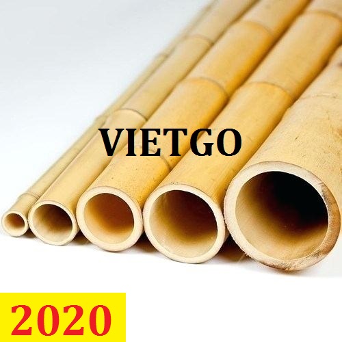 Cơ hội giao thương – Đơn hàng Thường Xuyên – Cơ hội xuất khẩu Gậy tre cho xưởng sản xuất đồ mỹ nghệ thủ công bằng tre tại Ấn Độ