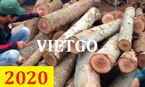 Cơ hội giao thương – Đơn hàng thường xuyên: Cơ hội xuất khẩu Gỗ bạch đàn tròn sang thị trường Trung Quốc