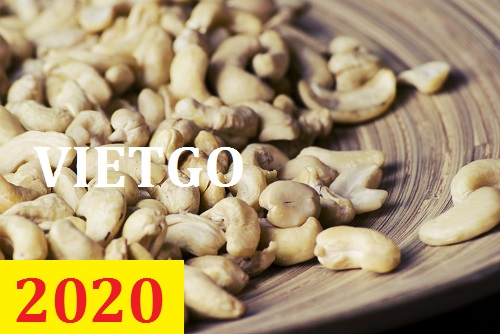 ( Gấp ) Cơ hội giao thương – Đơn hàng Cả Năm - Cơ hội xuất khẩu Hạt Điều sang thị trường Anh