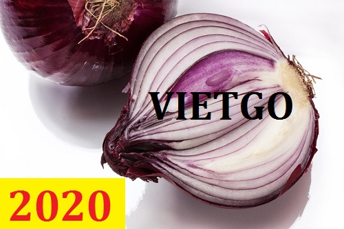 Cơ hội giao thương – Đơn hàng Thường Xuyên - Cơ hội xuất khẩu Hành Tây sang thị trường Thụy Điển