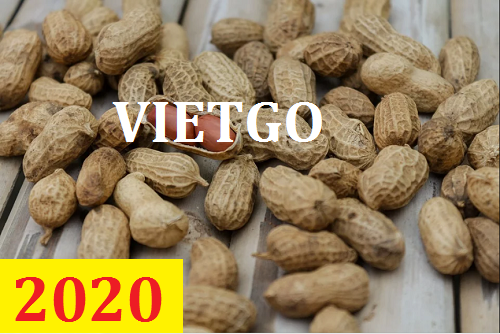 Cơ hội giao thương – Đơn hàng Cả Năm - Cơ hội xuất khẩu Lạc Nhân sang thị trường Trung Quốc