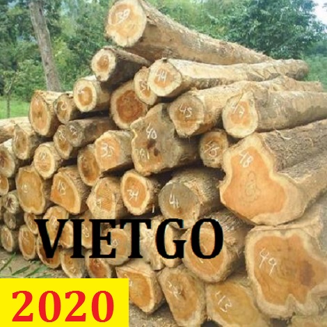 Cơ hội giao thương – Đơn hàng thường xuyên - Cơ hội xuất khẩu Gỗ teak tròn sang Ấn Độ