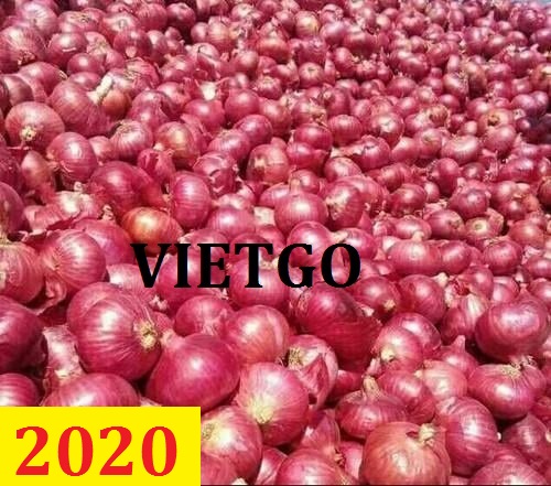 Cơ hội giao thương – Đơn hàng thường xuyên – Cơ hội xuất khẩu Hành Tím sang thị trường Ai Cập và Oman.