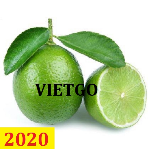 Cơ hội giao thương – Đơn hàng thường xuyên – Cơ hội xuất khẩu chanh xanh sang thị trường Qatar