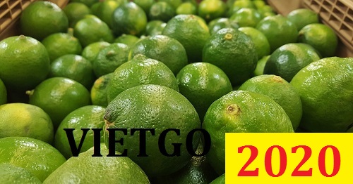 Cơ hội giao thương Đặc biệt – Đơn hàng Cả Năm - Cơ hội xuất khẩu Chanh Xanh sang thị trường Dubai