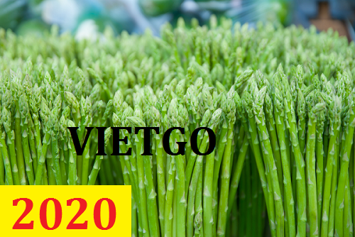 Cơ hội giao thương  – Đơn hàng Cả Năm- Cơ hội xuất khẩu Măng Tây đông lạnh sang thị trường Nhật Bản