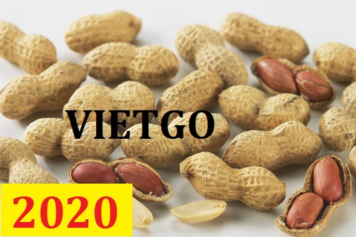 Cơ hội giao thương – Đơn hàng Cả Năm - Cơ hội xuất khẩu Lạc sang thị trường Hàn Quốc