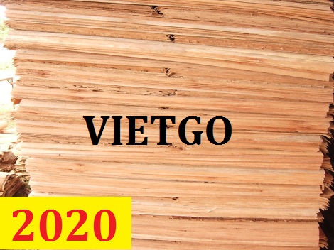 Cơ hội giao thương  – Đơn hàng thường xuyên - Cơ hội xuất khẩu Ván bóc cao su mỗi tháng sang thị trường Ấn Độ