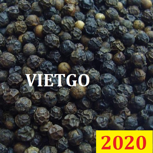 Cơ hội giao thương – Đơn hàng đặc biệt thường xuyên – Cơ hội xuất khẩu tiêu đen sang thị trường Ai Cập