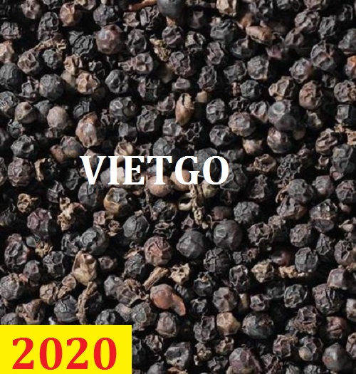 Cơ hội giao thương – Đơn hàng thường xuyên - Cơ hội xuất khẩu hạt tiêu sang thị trường Malaysia