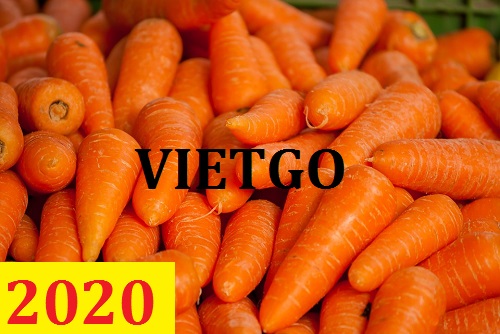 Cơ hội giao thương – Đơn hàng Cả Năm - Cơ hội xuất khẩu Cà Rốt sang thị trường Bangladesh