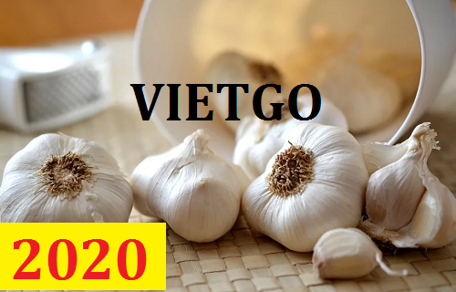Cơ hội giao thương – Đơn hàng Cả Năm - Cơ hội xuất khẩu Tỏi Trắng sang thị trường Thổ Nhĩ Kỳ