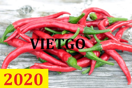 Cơ hội giao thương – Đơn hàng Cả Năm - Cơ hội xuất khẩu Ớt Tươi sang thị trường Trinidad