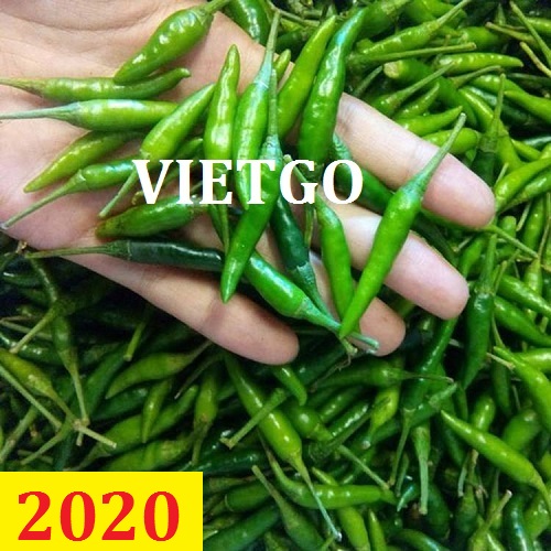 Cơ hội giao thương – Đơn hàng thường xuyên - Cơ hội xuất khẩu Ớt xanh sang thị trường Singapore