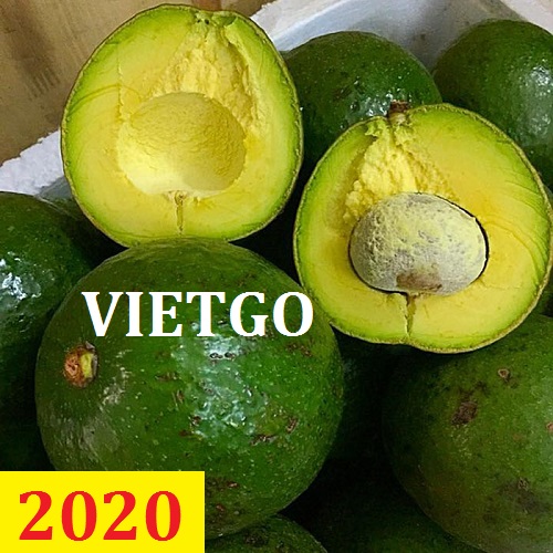 Cơ hội giao thương – Đơn hàng thường xuyên – Cơ hội xuất khẩu Quả Bơ sang thị trường Hàn Quốc.