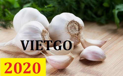 Cơ hội giao thương – Đơn hàng Cả Năm - Cơ hội xuất khẩu Tỏi Trắng sang thị trường Brazil