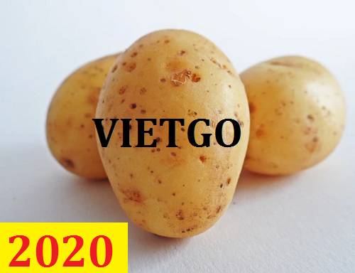 Cơ hội giao thương – Đơn hàng Cả Năm - Cơ hội xuất khẩu Khoai Tây sang thị trường SriLanka