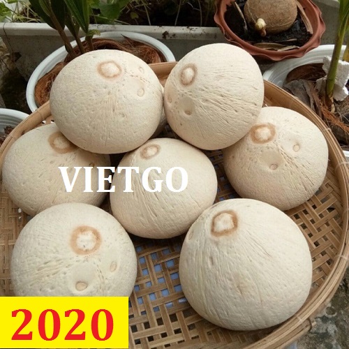 Cơ hội giao thương – Đơn hàng Cả Năm - Cơ hội xuất khẩu Quả Dừa sang thị trường Đức