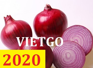Cơ hội giao thương – Đơn hàng Cả Năm - Cơ hội xuất khẩu Hành Tây sang thị trường Ấn Độ