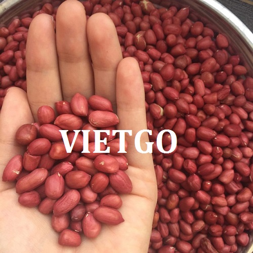 Cơ hội giao thương – Đơn hàng thường xuyên - Cơ hội xuất khẩu Lạc nhân sang thị trường UAE.