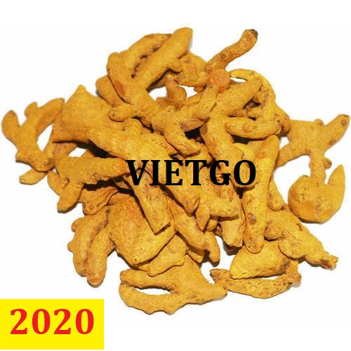 Cơ hội giao thương – Đơn hàng đặc biệt thường xuyên – Cơ hội xuất khẩu nghệ khô sang thị trường Bangladesh.