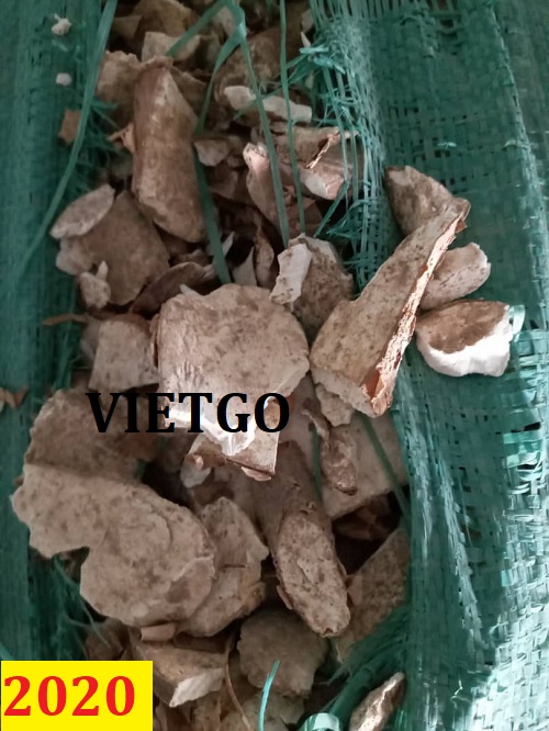 Cơ hội giao thương – Đơn hàng thường xuyên - Cơ hội xuất khẩu sắn lát sang thị trường Malaysia