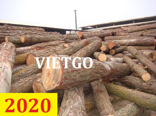 Cơ hội giao thương – Đơn hàng thường xuyên - Cơ hội xuất khẩu Gỗ keo tròn sang thị trường Trung Quốc